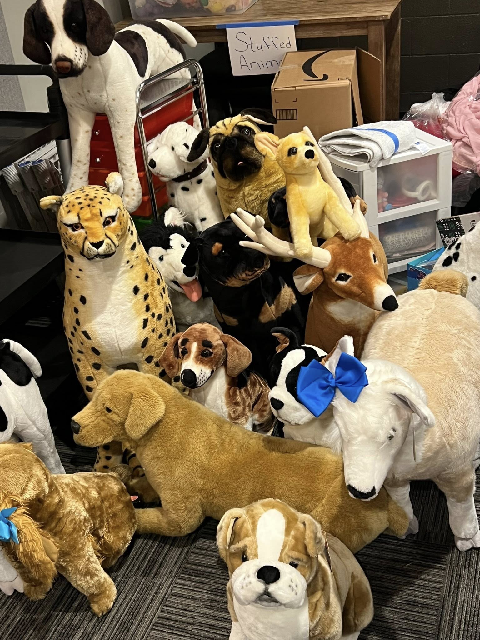 Highlands Community Church Yard Sale